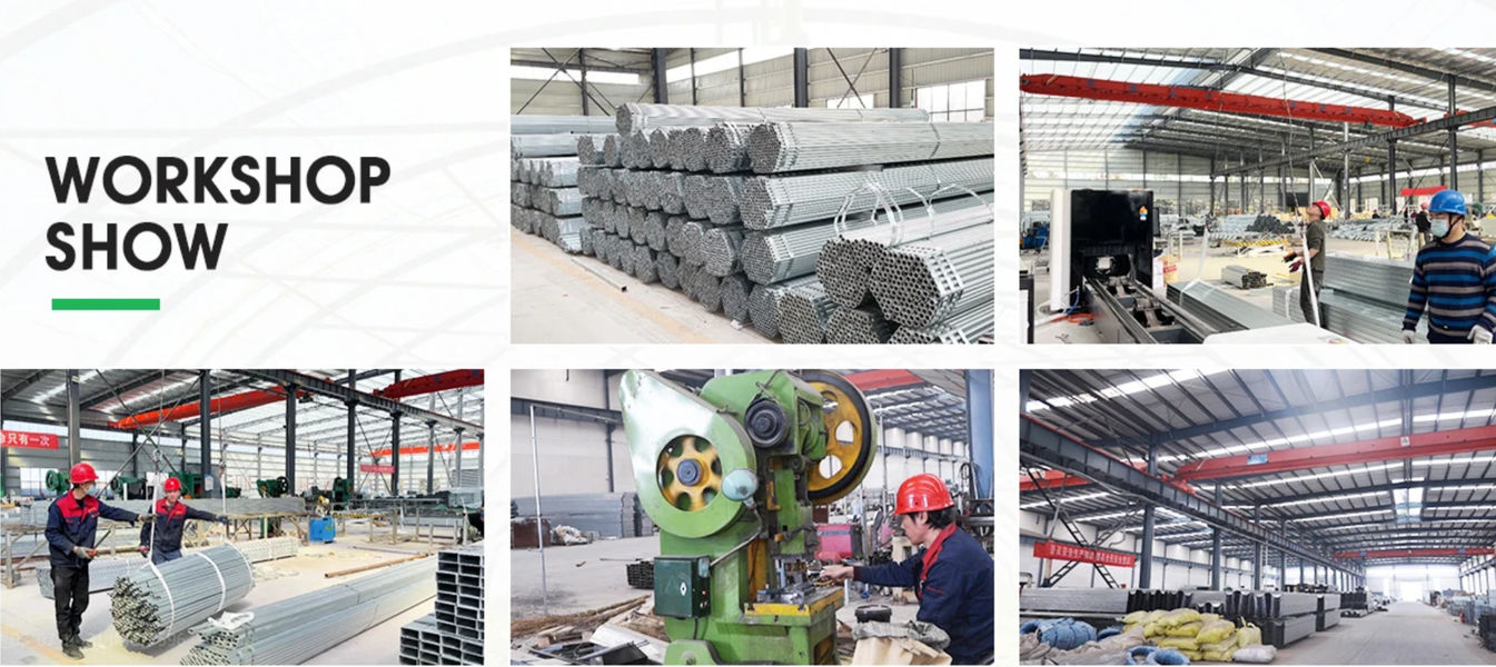 Shandong Lisent Agricultural Technology Co., Ltd. manufacturer production line