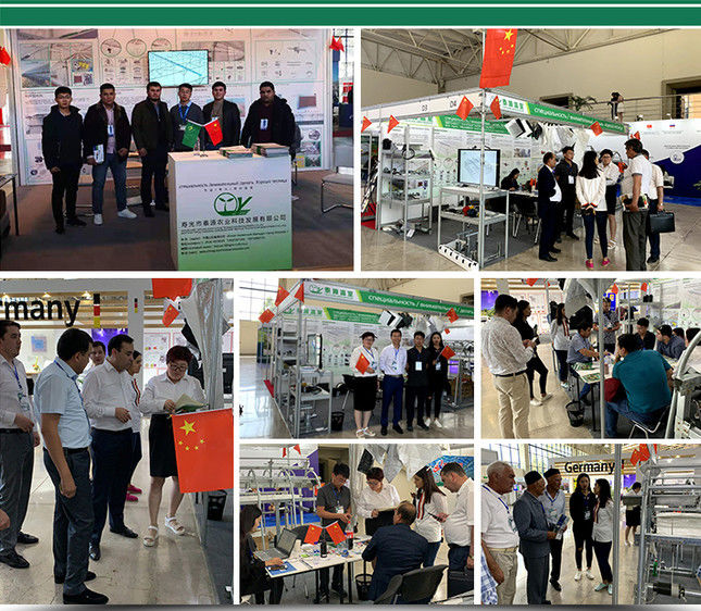 Shandong Lisent Agricultural Technology Co., Ltd.