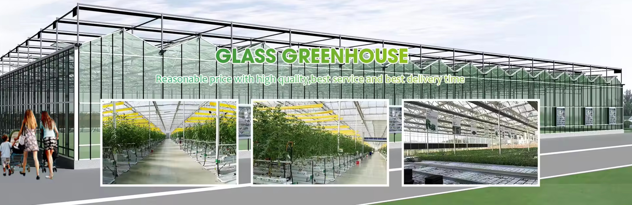 quality Multi Span Greenhouse factory