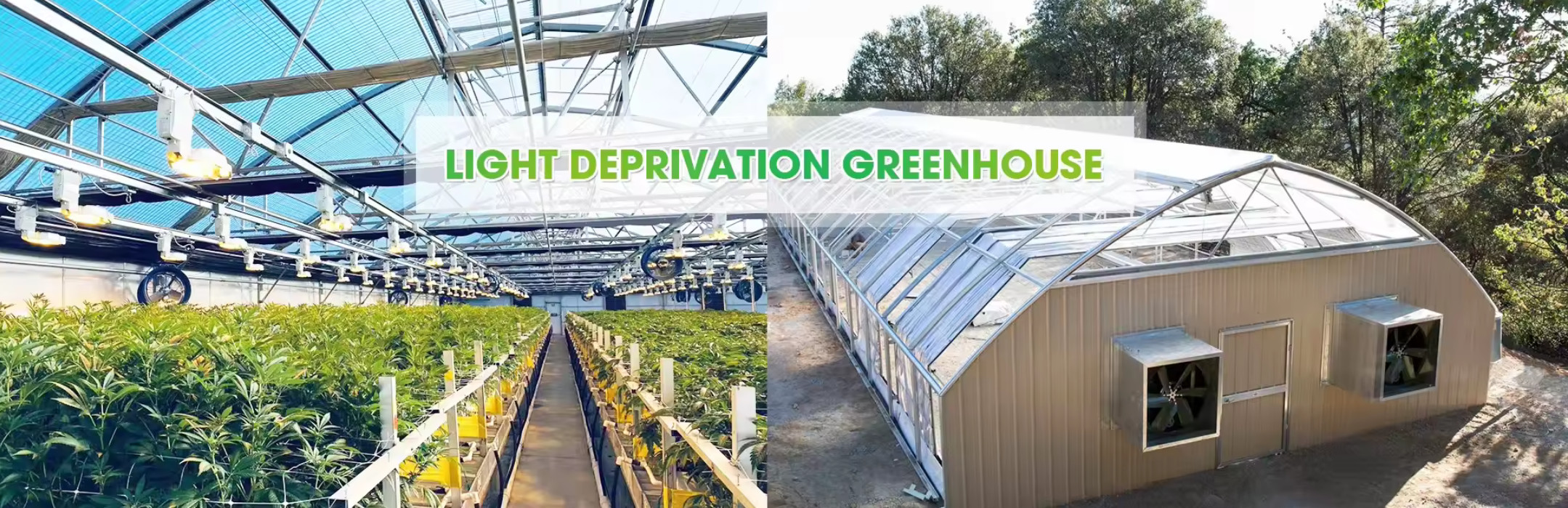 quality Multi Span Greenhouse factory